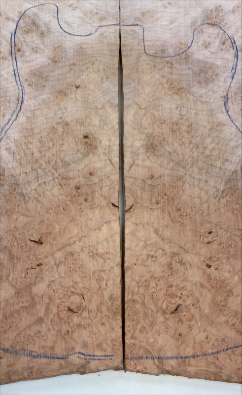 Top Maserahorn - Maple Burl Westcoast, 2-tlg. 7mm Einzelstück #008